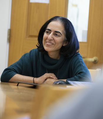 Q&A With Indu Singh, Dean of Teaching and Learning